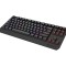 Tastatura WS Genesis Thor 230 TKL R ng