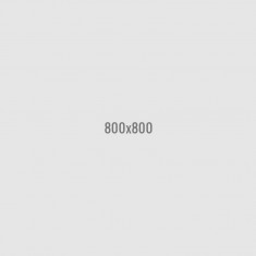 Puoly and Bark Eames Style Molded Plastic