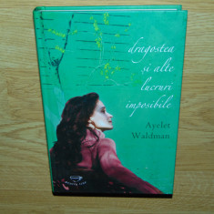 DRAGOSTEA SI ALTELE LUCRURI IMPOSIBILE -AYELET WALDMAN