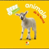 Bebe invata: Animale de la ferma, Litera