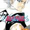 Bleach Vol. 16 - Knight of Wijnruit | Tite Kubo