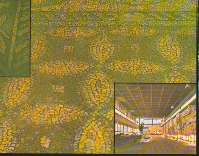 CPI B12739 CARTE POSTALA - CONSTANTA. EDIFICIUL ROMAN CU MOZAIC