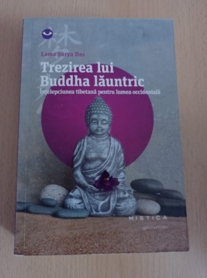 Lama Surya Das - Trezirea lui Buddha launtric foto