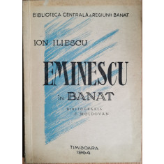 Eminescu in Banat - Ion Iliescu