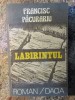 Francisc Pacurariu - Labirintul