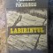 Francisc Pacurariu - Labirintul