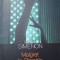 MAIGRET LA PICRATT&#039;S-GEORGES SIMENON-272026