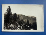 Carte Postala Romania - Peisaj Montan