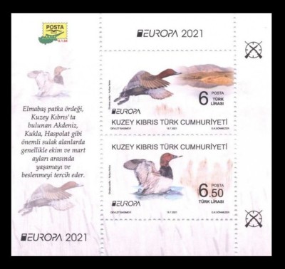 CIPRU TURC 2021 EUROPA CEPT PASARI foto