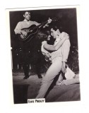 Foto romaneasca Elvis Presley