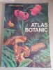 Atlas botanic - Lucia Popovici , C. Moruzi , 1993