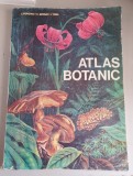 Atlas botanic - Lucia Popovici , C. Moruzi , 1993