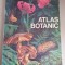 Atlas botanic - Lucia Popovici , C. Moruzi , 1993