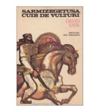David Sava - Sarmizegetusa, cuib de vulturi - 125798
