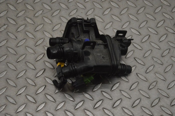 Termostat PEUGEOT 208 II UB_, UP_, UW_, UJ_ 2022 OEM: 9812131480 21460821