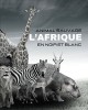 ANIMAUX SAUVAGES - L&#039;Afrique en Noir et Blanc: Album de photos en noir et blanc pour les amoureux des animaux