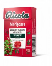 Dropsuri din plante Cranberry, 40g, Ricola