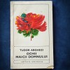 Tudor Arghezi - Ochii Maicii Domnului - Roman - Beletristica