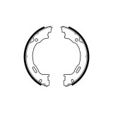 Set saboti frana mana Delphi LS1922, parte montare : Punte Spate