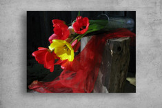 Tablouri Canvas Flori - Flori colorate in vaza foto