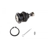 Pivot brat suspensie Lexus Is200, 300 1999-, Fata Superior, 48610-29055