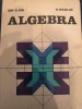 ALGEBRA de ION D. ION SI R. NICOLAE 1981