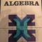 ALGEBRA de ION D. ION SI R. NICOLAE 1981