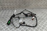 Cablaj ușă st&acirc;nga spate PORSCHE Taycan 2022 OEM: 9J1971693D | 31802007