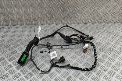 Cablaj ușă st&amp;acirc;nga spate PORSCHE Taycan 2022 OEM: 9J1971693D | 31802007 foto