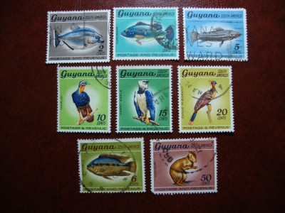 GUYANA FAUNA foto
