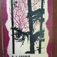 Drumul lui Shannon- A. J. Cronin