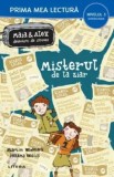 Misterul de la ziar. Maia &amp; Alex detectivi de succes. Miniroman. Nivelul 3/***, Litera