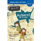 Misterul de la ziar. Maia &amp; Alex detectivi de succes. Miniroman. Nivelul 3/***
