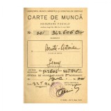 Jeni Acterian - Arnotă, Carte de muncă