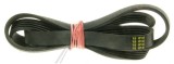 1161J5EL CUREA ELASTICA POLY-V HUTCHINSON