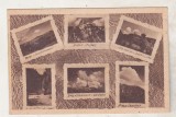 bnk cp Busteni - Vedere - Edit C Florescu - circulata 1949