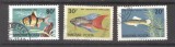 Hungary 1962 Fish, used G.376
