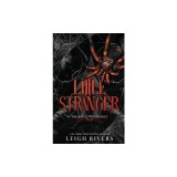 Little Stranger: A Dark Taboo Romance