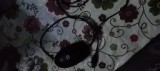 Mouse calculator
