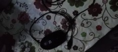 Mouse calculator