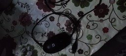 Mouse calculator foto