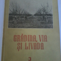 Gradina, via si livada. Revista lde stiinta si practica hortiviticola nr.3/1955