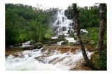 Tablou Canvas, "Cascada &icirc;nverzită printre st&acirc;nci strălucitoare", Cascadă, Pădure, Rocă, Apă, Verdeață, Natură, Peisaj, Frumusețe., 39 x 26 cm, CMCLASS