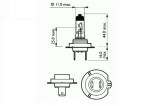 BEC FAR H7 12V 55W PX26D BASIC SCT 44036