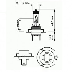 BEC FAR H7 12V 55W PX26D BASIC SCT