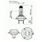 BEC FAR H7 12V 55W PX26D BASIC SCT 44036