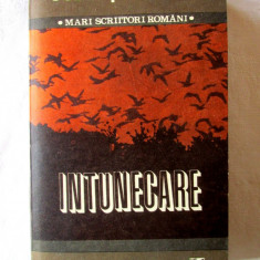 "INTUNECARE", Cezar Petrescu, 1984