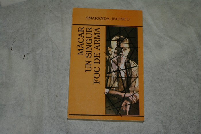 Macar un singur foc de arma - Smaranda Jelescu - 1993