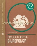 Producerea Ciupercilor - Nicolae Mateescu