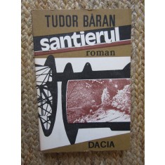 Santierul - Tudor Baran